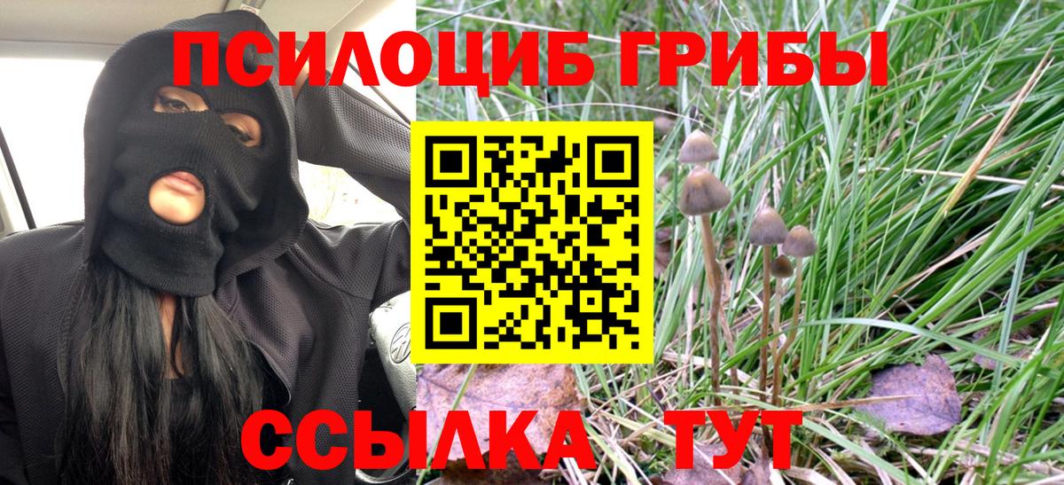 Галлюциногенные грибы GOLDEN TEACHER  Вход с VPN  Ессентуки 